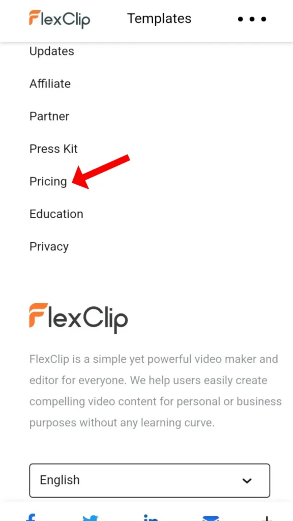 Flexclip Coupon Code - Pricing